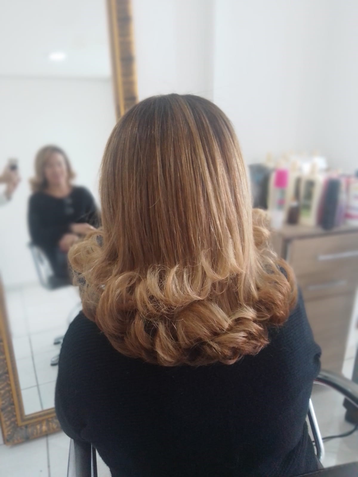 Escova de Cabelo Profissional