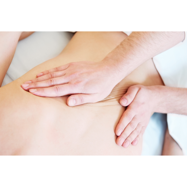 CURSO  DE  MASSOTERAPIA